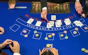 luxurycasino Qué encontrarás en Selva Lacandona